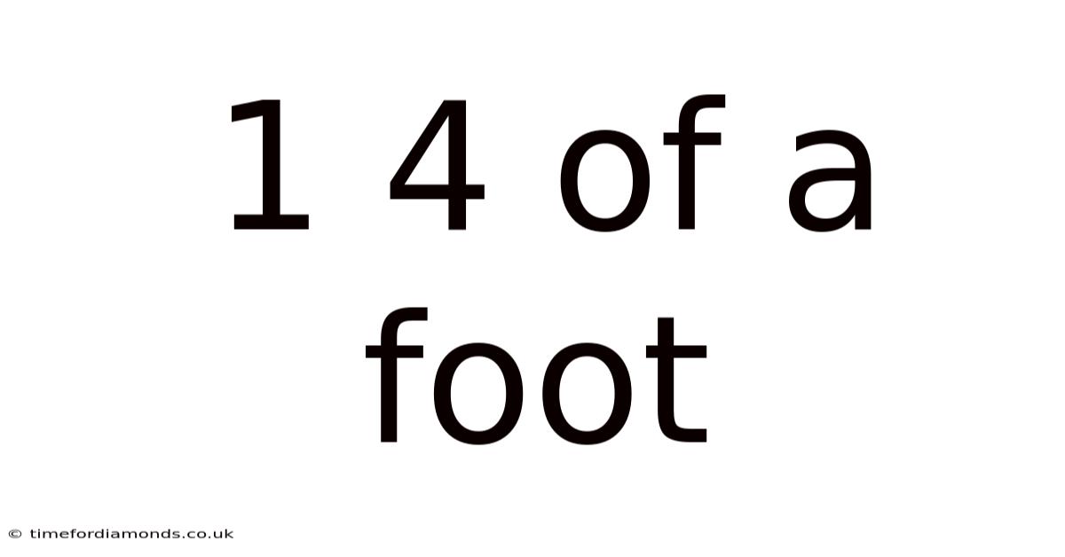 1 4 Of A Foot