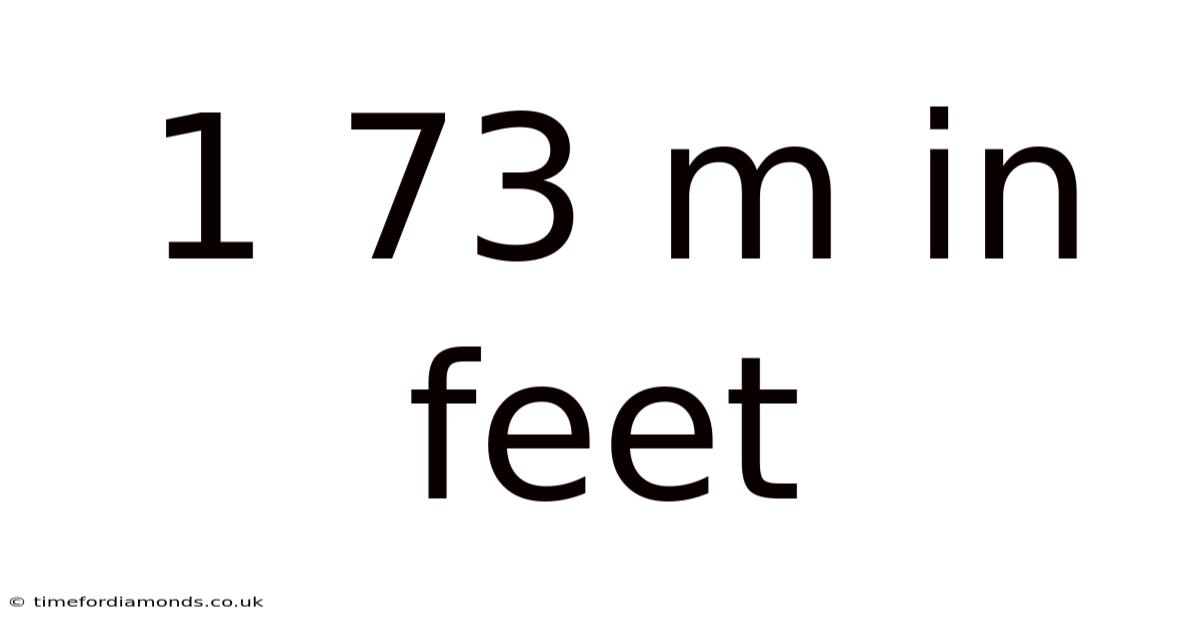 1 73 M In Feet