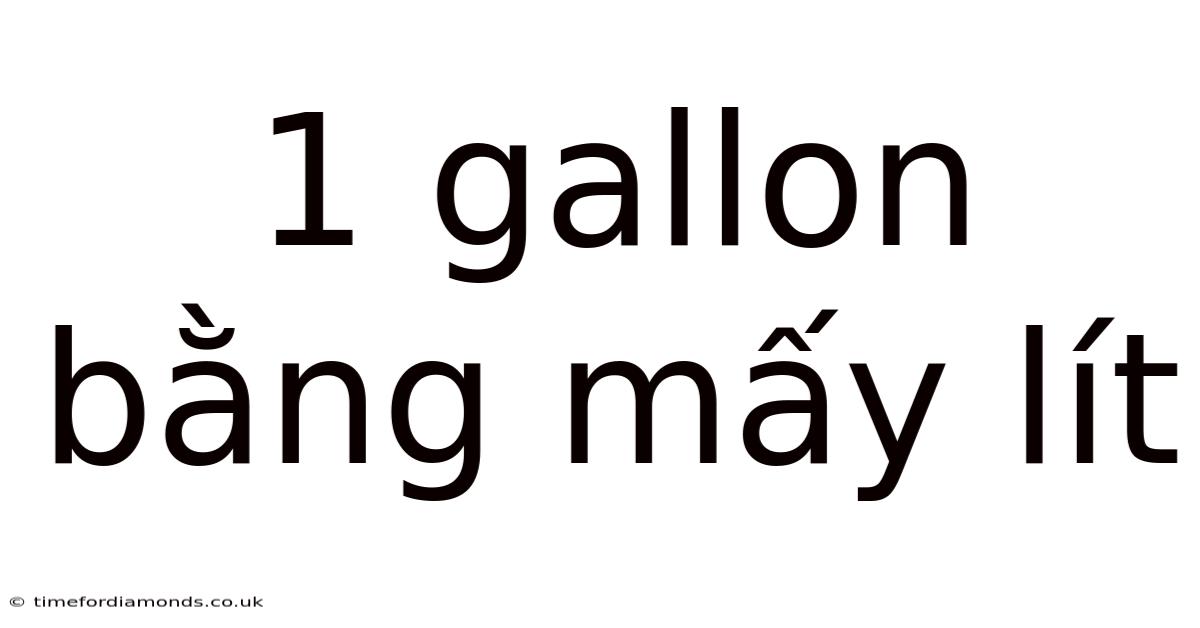 1 Gallon Bằng Mấy Lít