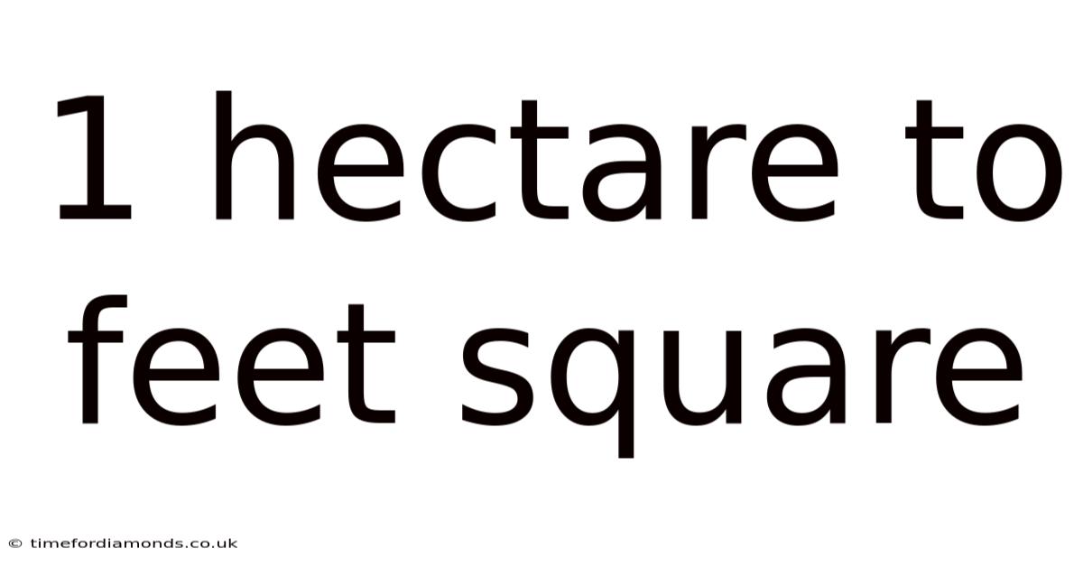 1 Hectare To Feet Square