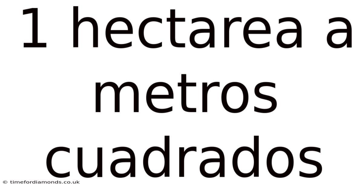 1 Hectarea A Metros Cuadrados