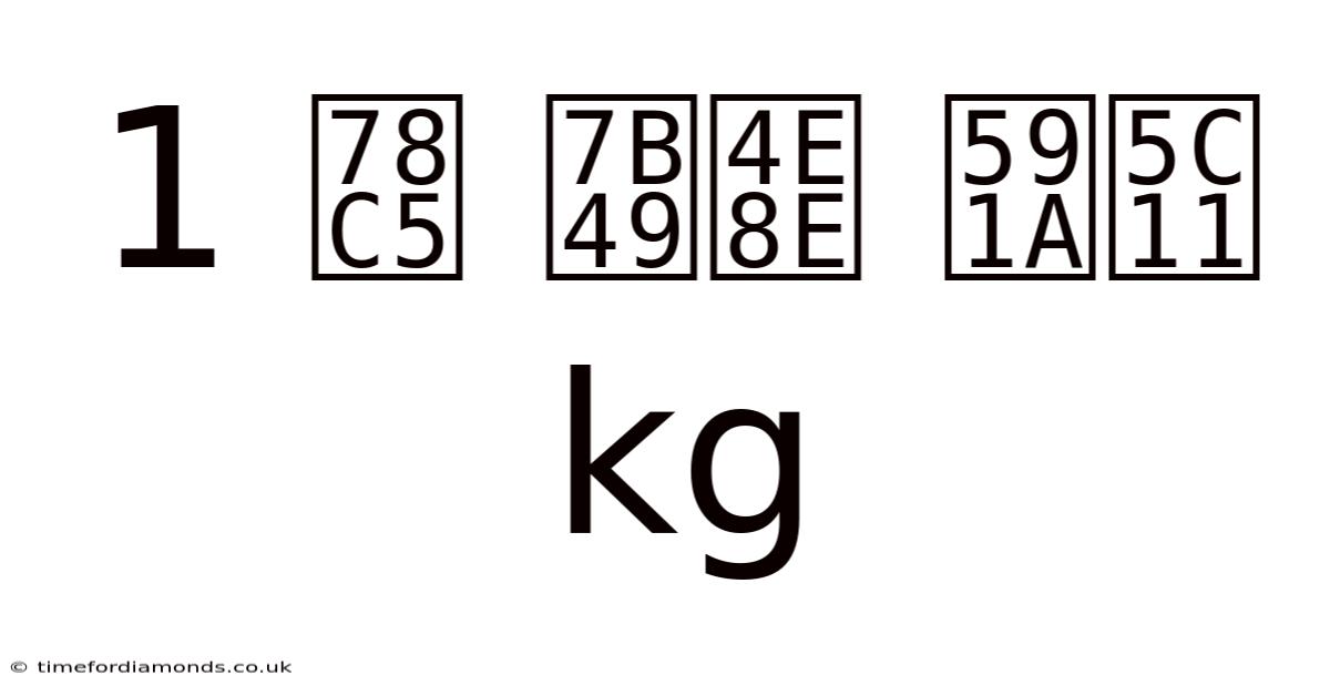1 磅 等于 多少 Kg