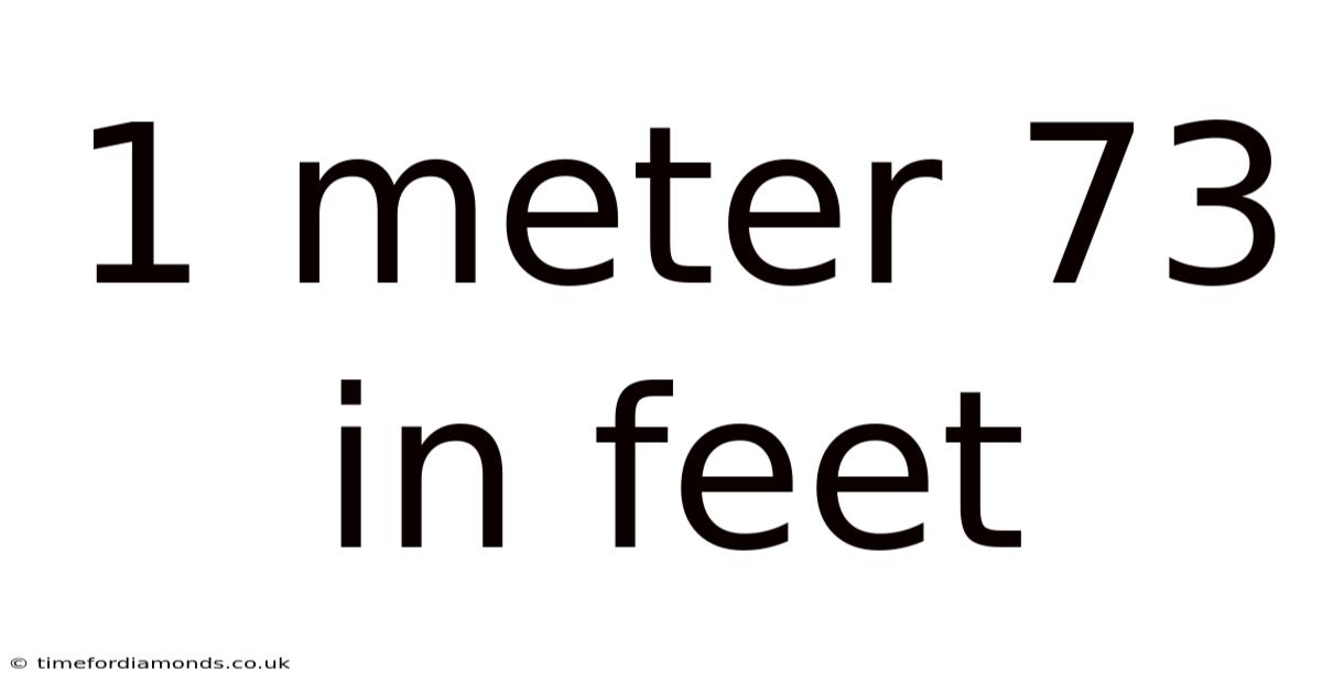 1 Meter 73 In Feet