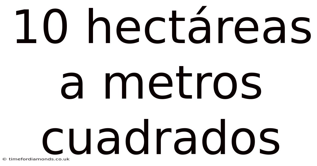 10 Hectáreas A Metros Cuadrados