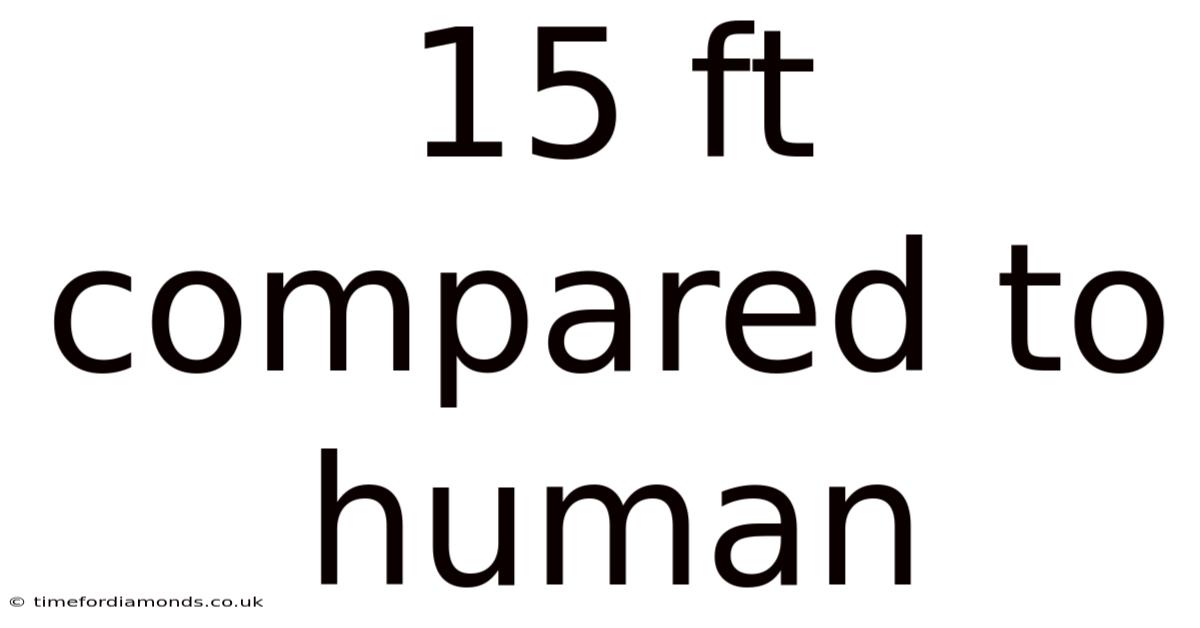 15 Ft Compared To Human