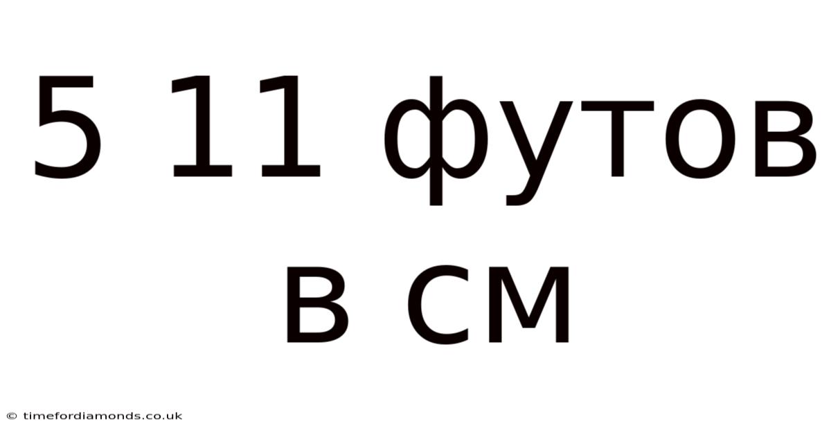5 11 Футов В См
