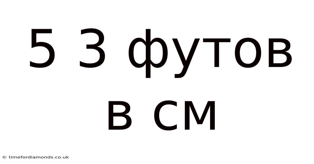 5 3 Футов В См