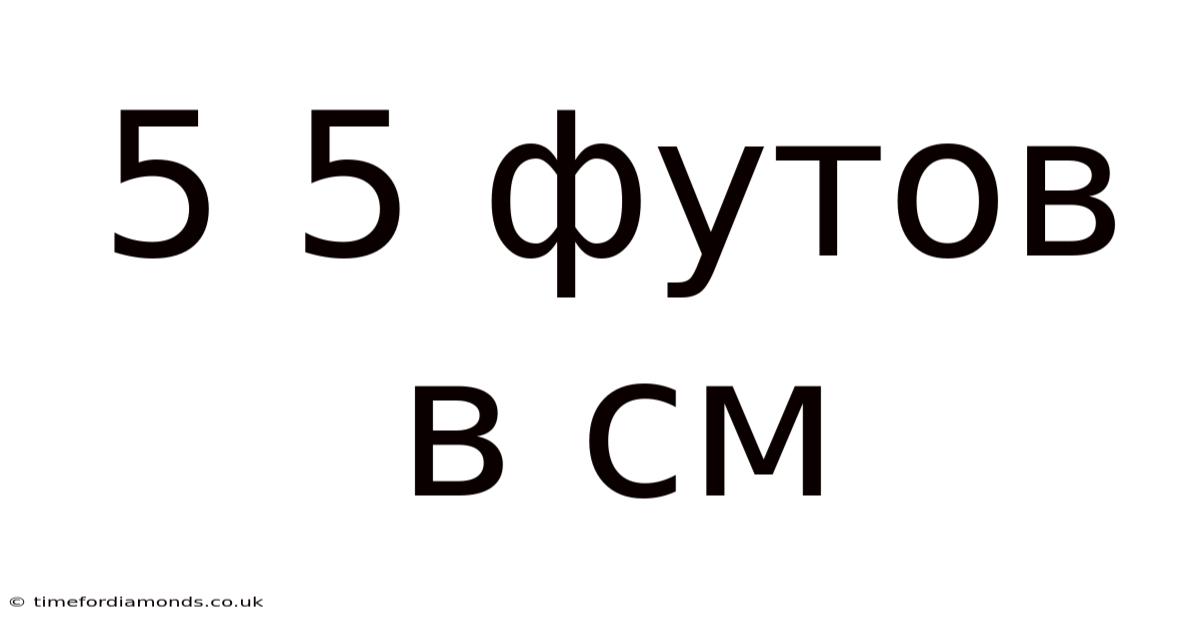 5 5 Футов В См
