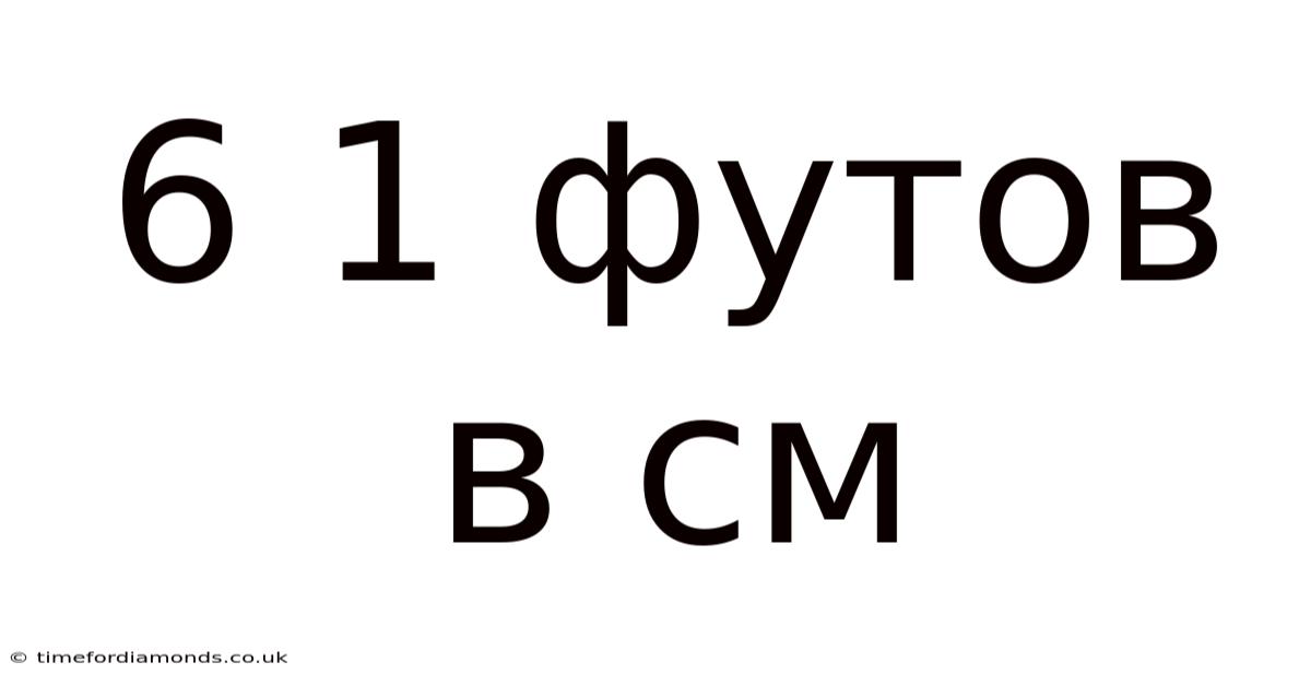 6 1 Футов В См