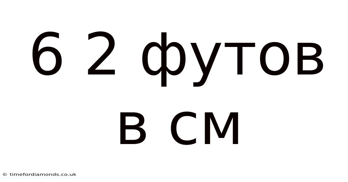 6 2 Футов В См