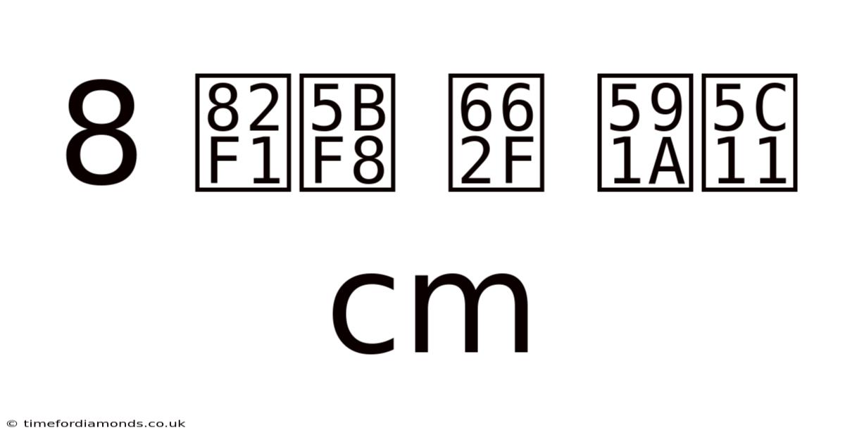 8 英寸 是 多少 Cm