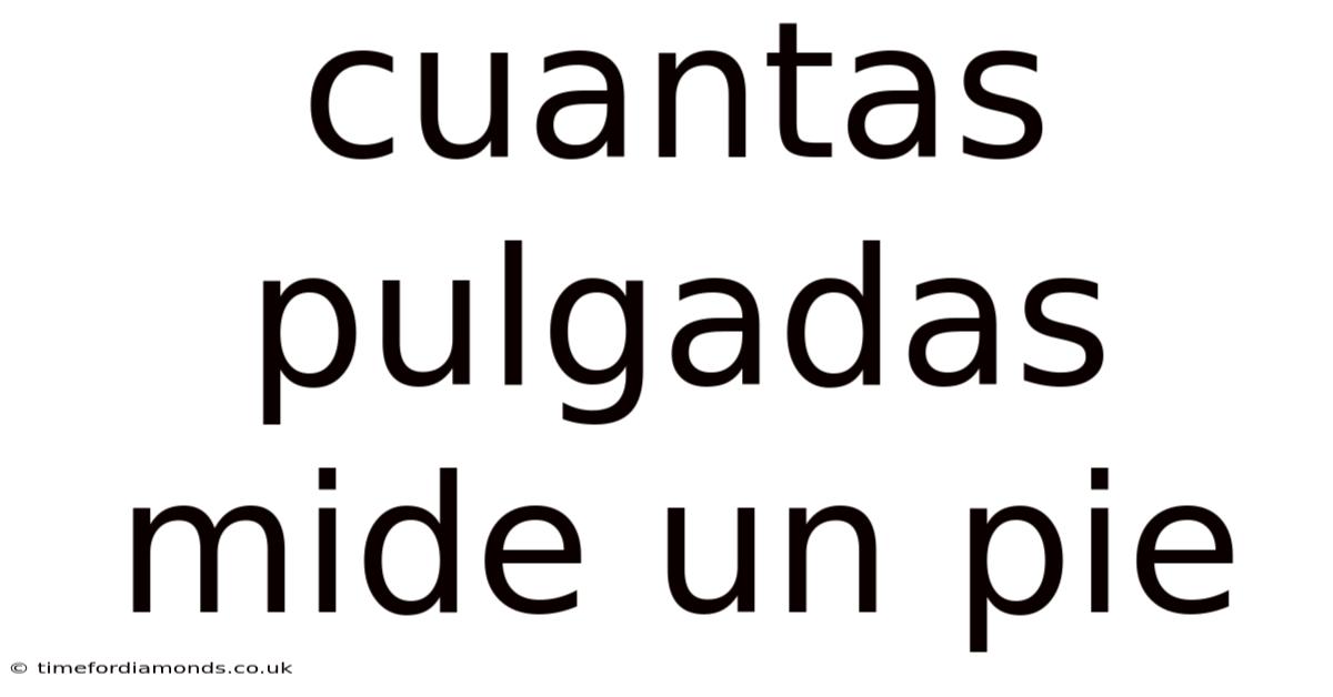 Cuantas Pulgadas Mide Un Pie