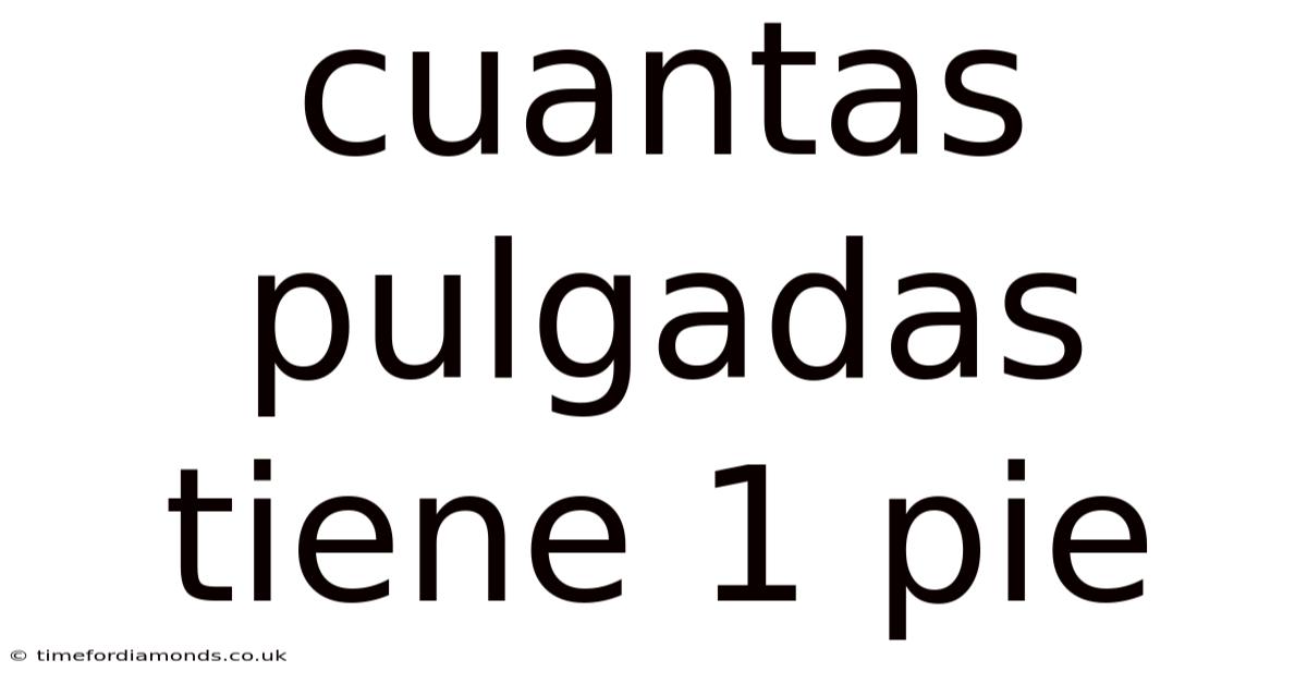 Cuantas Pulgadas Tiene 1 Pie