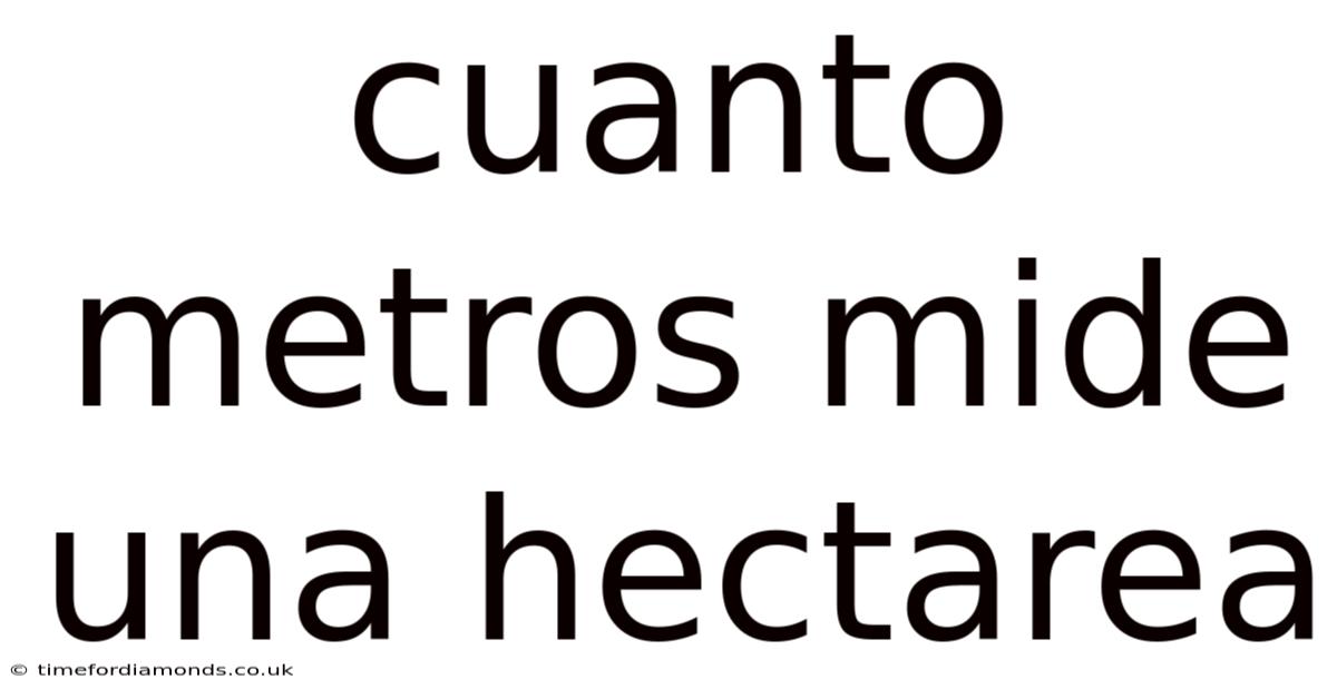 Cuanto Metros Mide Una Hectarea