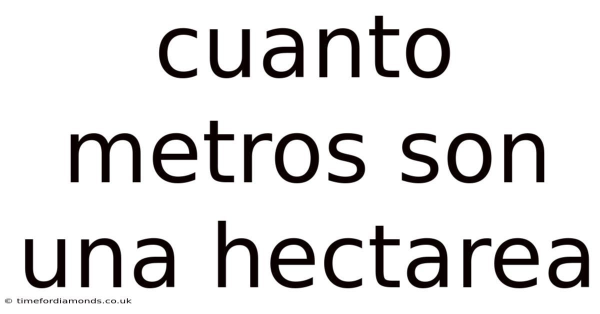 Cuanto Metros Son Una Hectarea