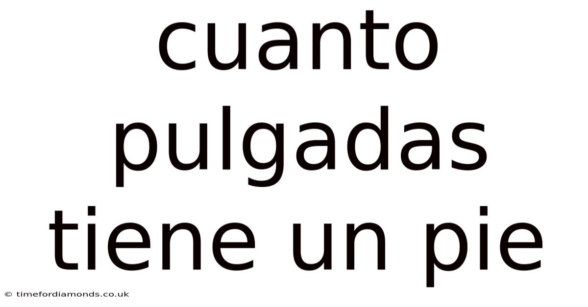Cuanto Pulgadas Tiene Un Pie