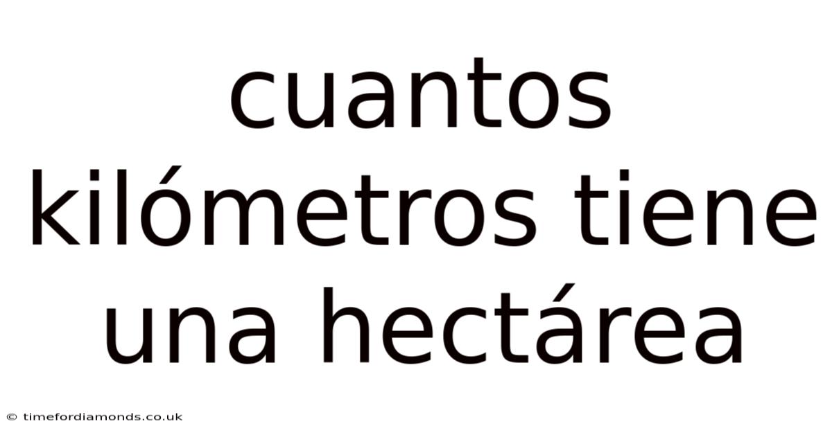 Cuantos Kilometros Tiene Una Hectárea