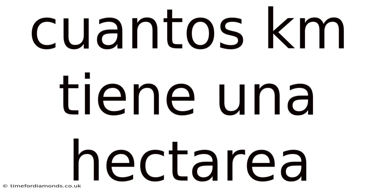 Cuantos Km Tiene Una Hectarea