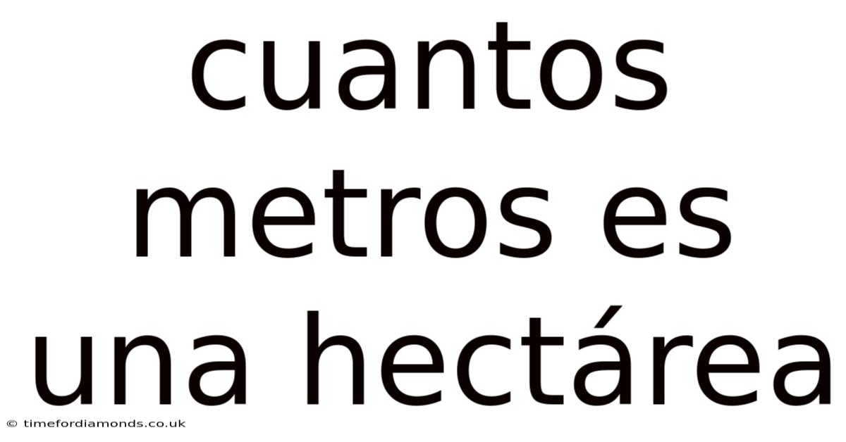 Cuantos Metros Es Una Hectárea