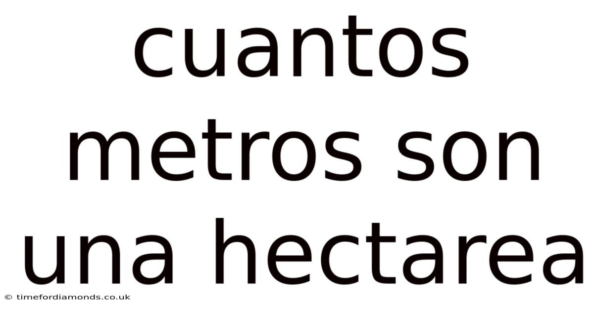 Cuantos Metros Son Una Hectarea
