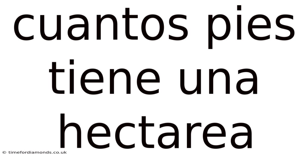 Cuantos Pies Tiene Una Hectarea