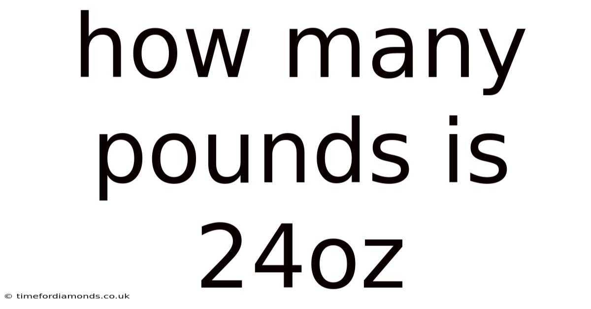 How Many Pounds Is 24oz