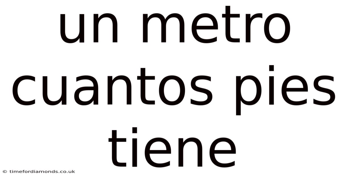 Un Metro Cuantos Pies Tiene