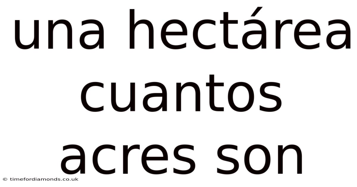 Una Hectárea Cuantos Acres Son